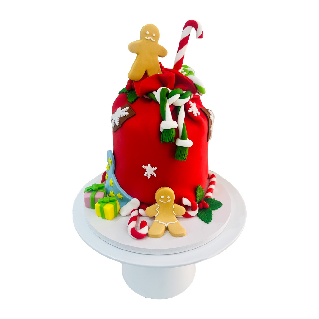 Christmas Cake Gift Bag - Glance Cake